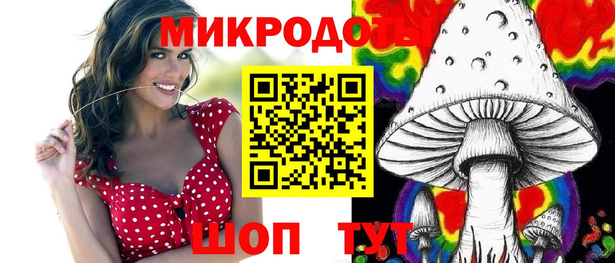 Псилоцибиновые грибы Psilocybine cubensis Заинск